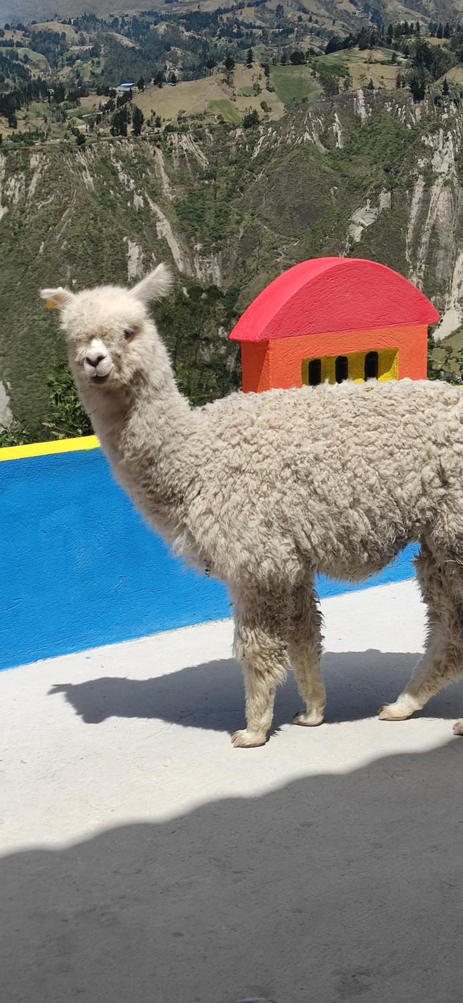 Chugchilán Hostal El Vaquero מראה חיצוני תמונה